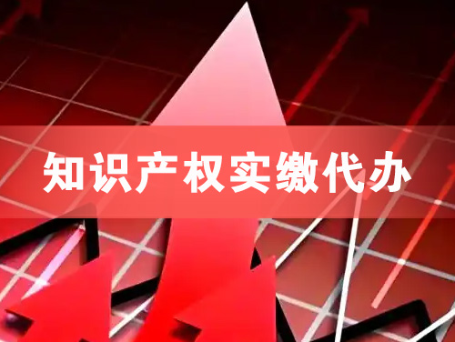 宣城知识产权实缴资本代办